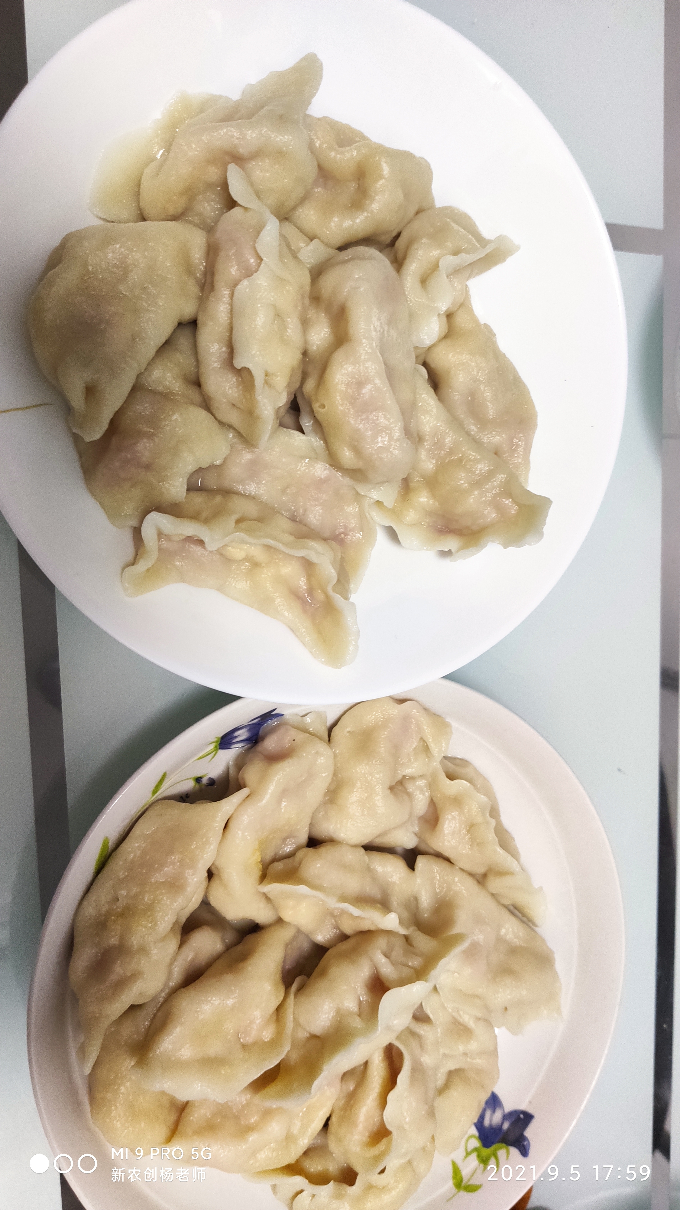 有谁吃过西红柿鸡蛋豆腐水饺吗？今天带大家尝尝！8147 作者:杨雲淞1413 帖子ID:13305 